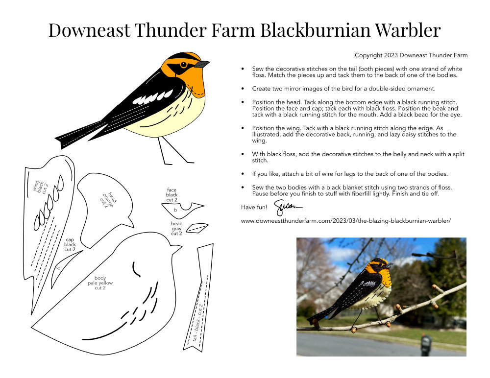 Blackburnian Warbler