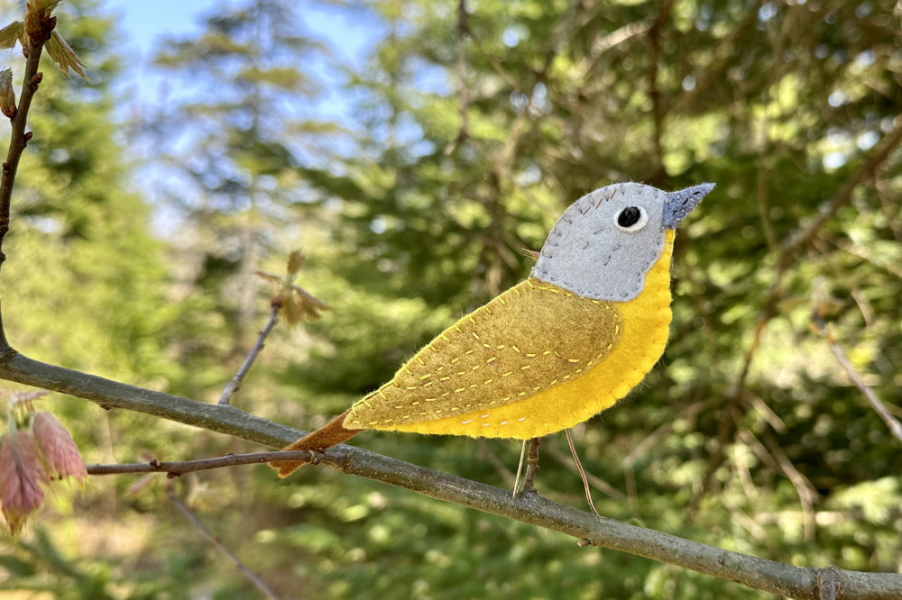 Nashville Warbler free Felt Pattern