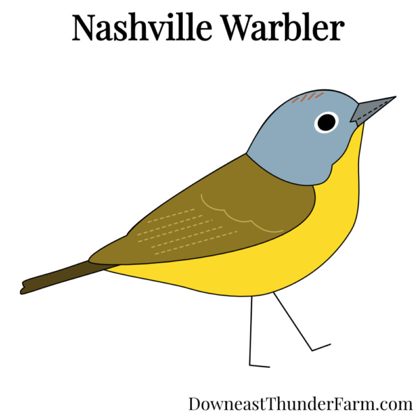 nashville warbler felt kit