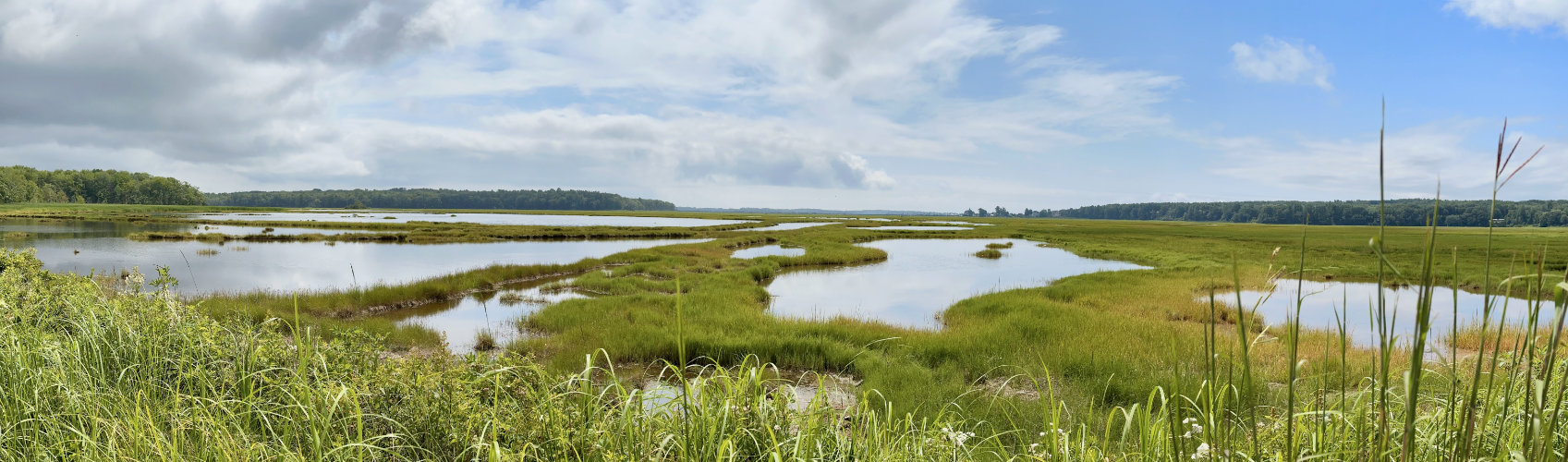 scarborough marsh maine landscape