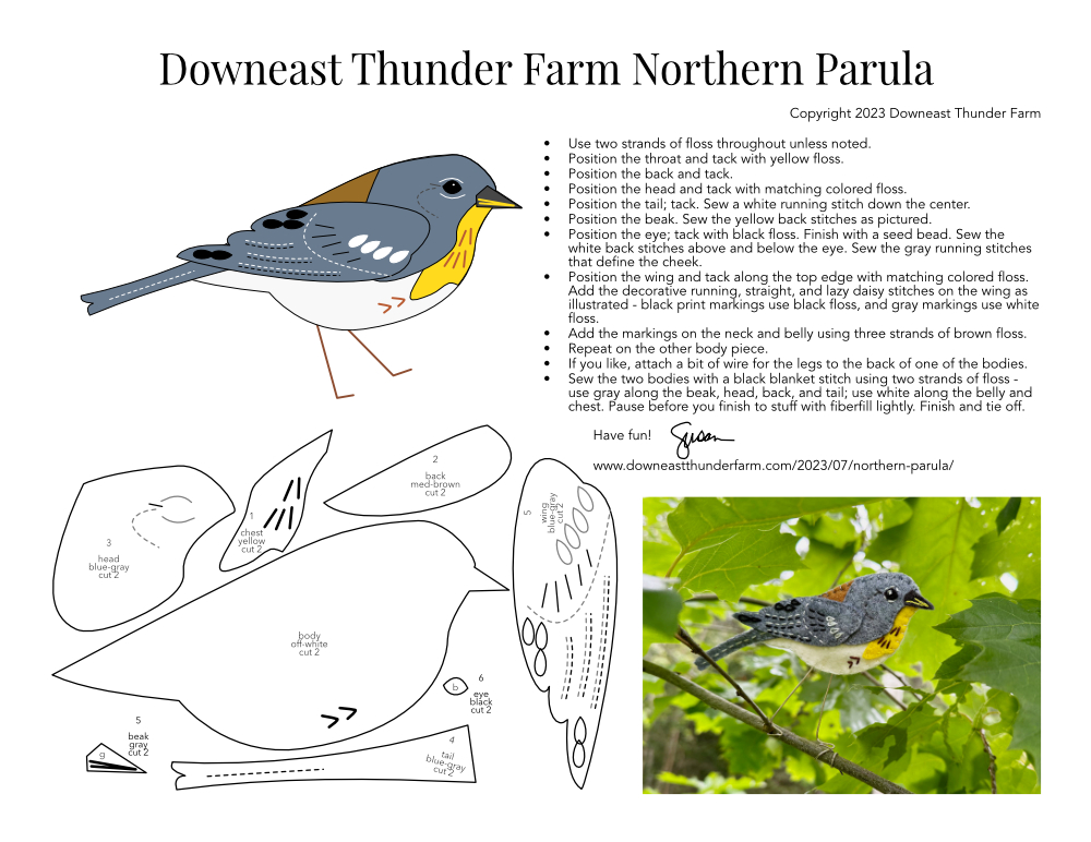 Northern Parula