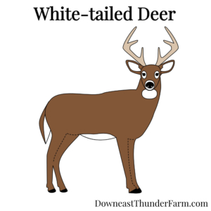 white-tailed deer felt kit