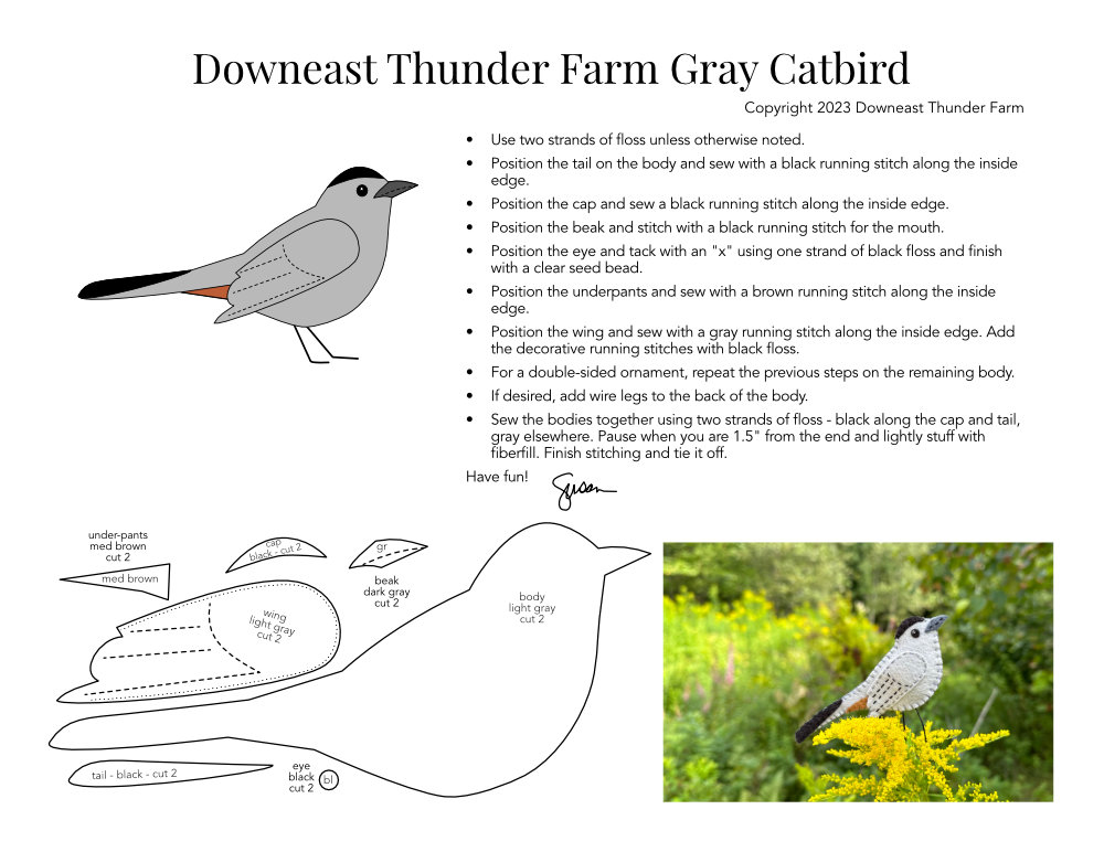 Gray Catbird