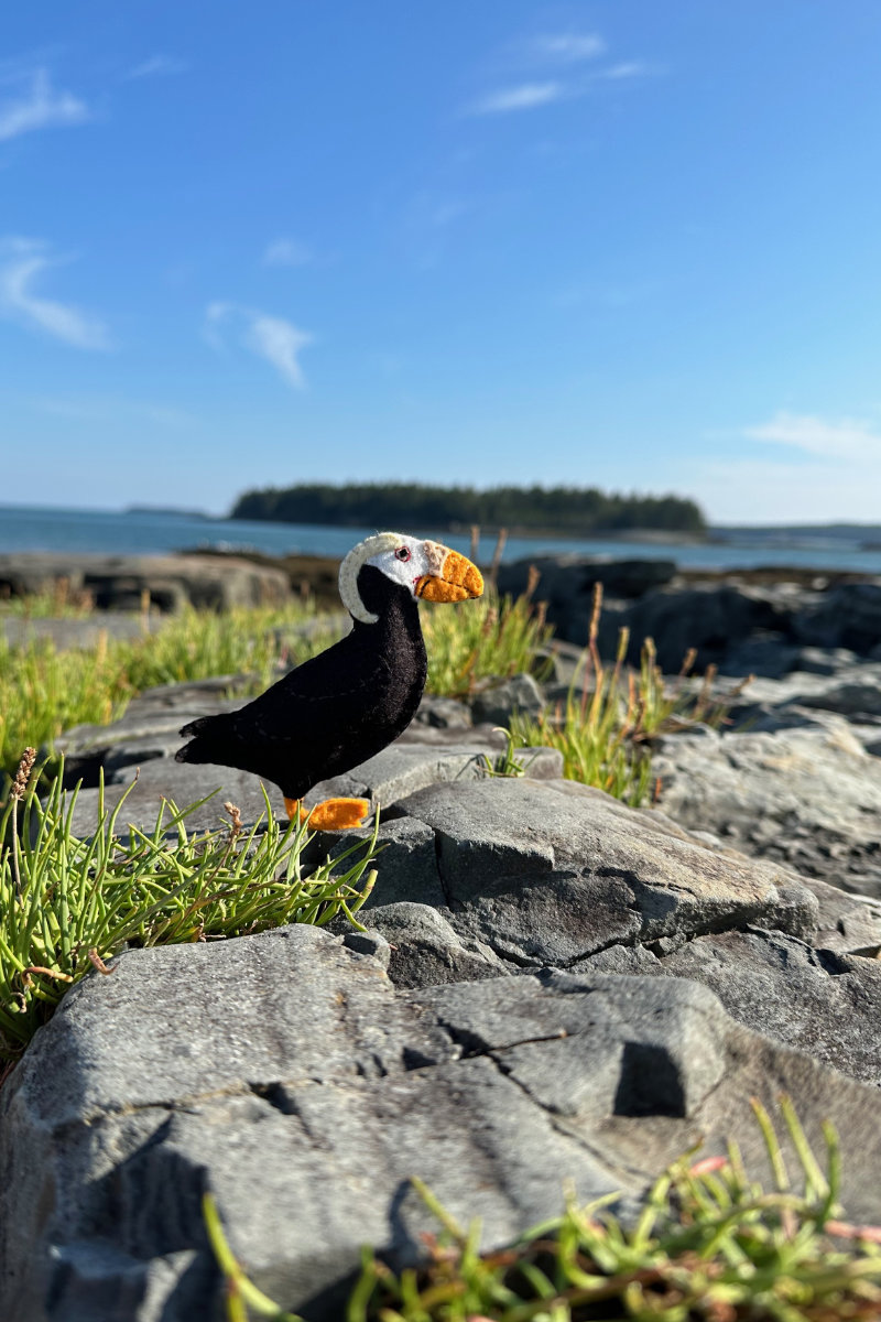 tufted puffin free felt pattern
