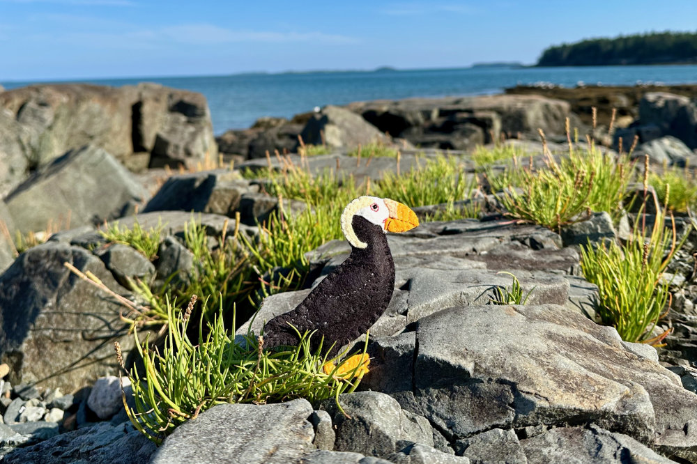 maine tufted puffin felt pattern