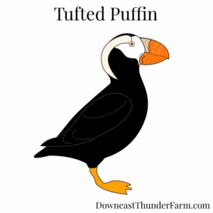 tufted puffin felt kit
