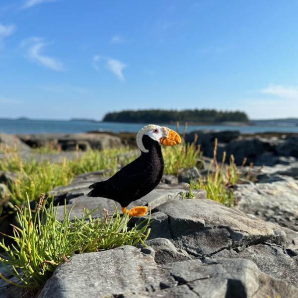 tufted puffin felt pattern kit