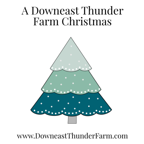 A Downeast Thunder Farm Christmas: 20 Felt Ornament Designs - Image 2
