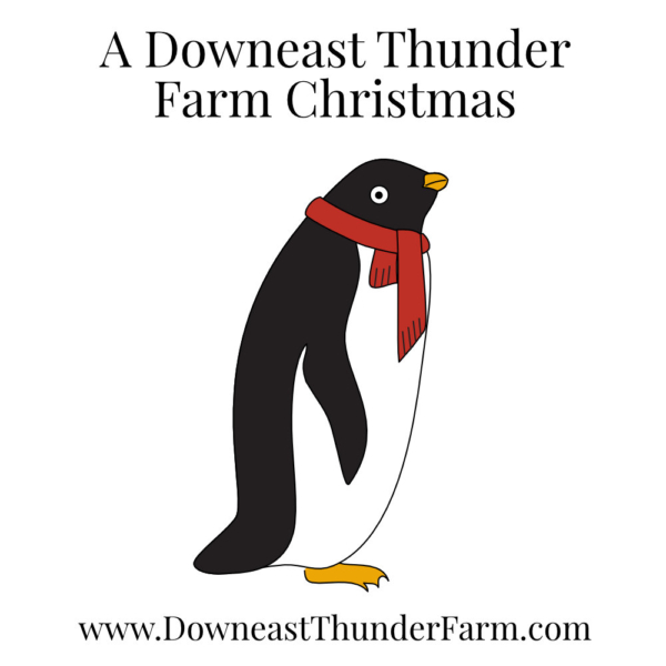 A Downeast Thunder Farm Christmas: 20 Felt Ornament Designs - Image 12