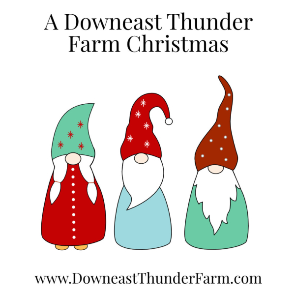A Downeast Thunder Farm Christmas: 20 Felt Ornament Designs - Image 6