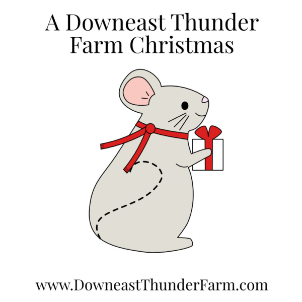 A Downeast Thunder Farm Christmas: 20 Felt Ornament Designs - Image 19