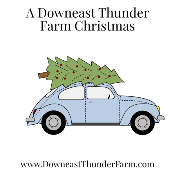 A Downeast Thunder Farm Christmas: 20 Felt Ornament Designs - Image 3