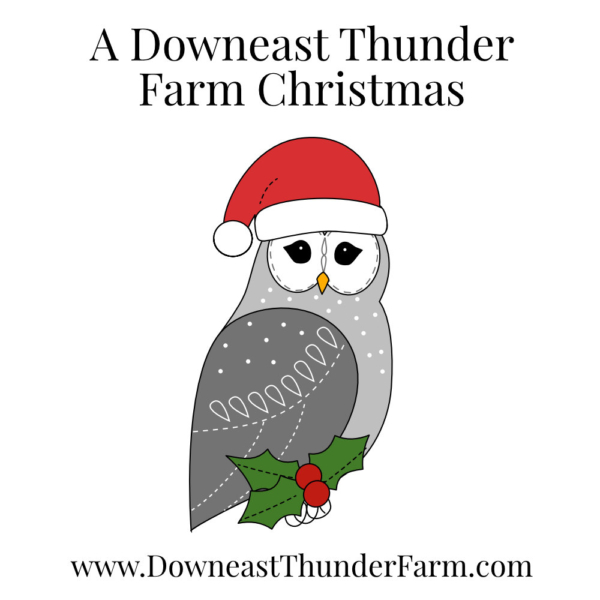 A Downeast Thunder Farm Christmas: 20 Felt Ornament Designs - Image 5