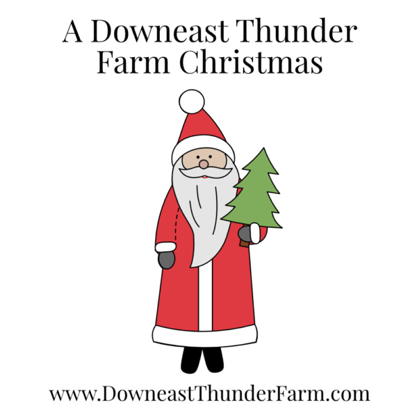 A Downeast Thunder Farm Christmas: 20 Felt Ornament Designs - Image 17