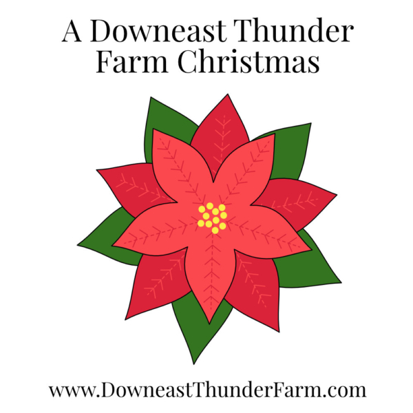 A Downeast Thunder Farm Christmas: 20 Felt Ornament Designs - Image 20