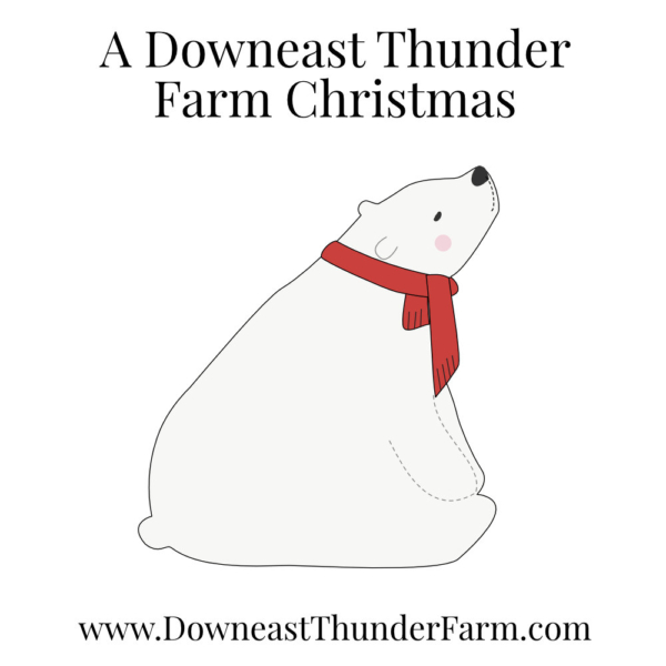 A Downeast Thunder Farm Christmas: 20 Felt Ornament Designs - Image 10