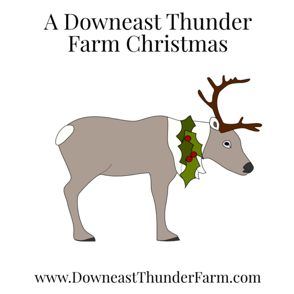 A Downeast Thunder Farm Christmas: 20 Felt Ornament Designs - Image 21