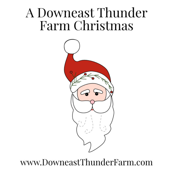 A Downeast Thunder Farm Christmas: 20 Felt Ornament Designs - Image 11