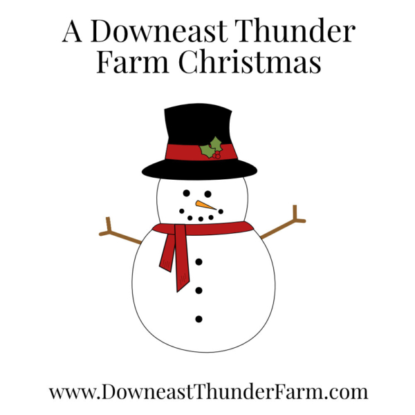 A Downeast Thunder Farm Christmas: 20 Felt Ornament Designs - Image 18