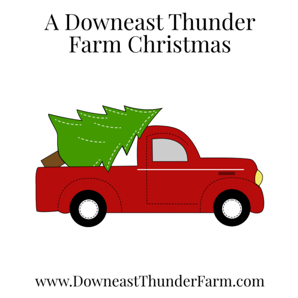 A Downeast Thunder Farm Christmas: 20 Felt Ornament Designs - Image 13