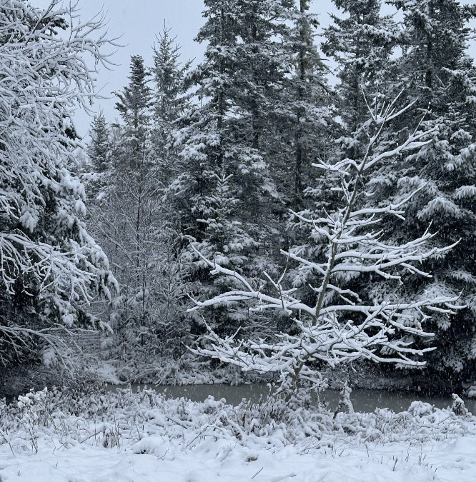 First Snow Day of the Season