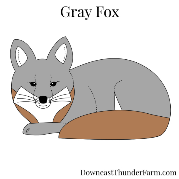Gray Fox Felt Kit