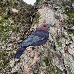 Free Brown-headed Cowbird Felt Pattern