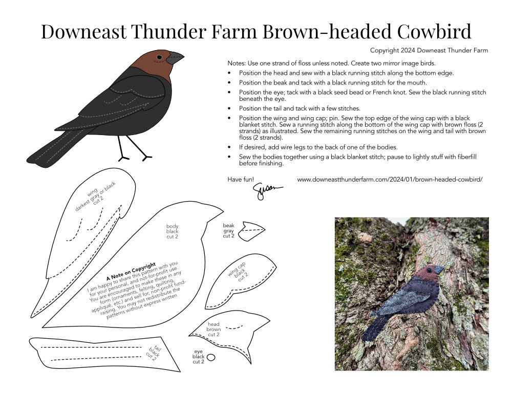 Brown-headed Cowbird