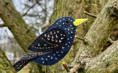 The Curious European Starling