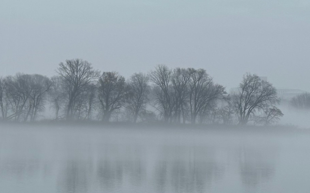 Foggy Susquehanna