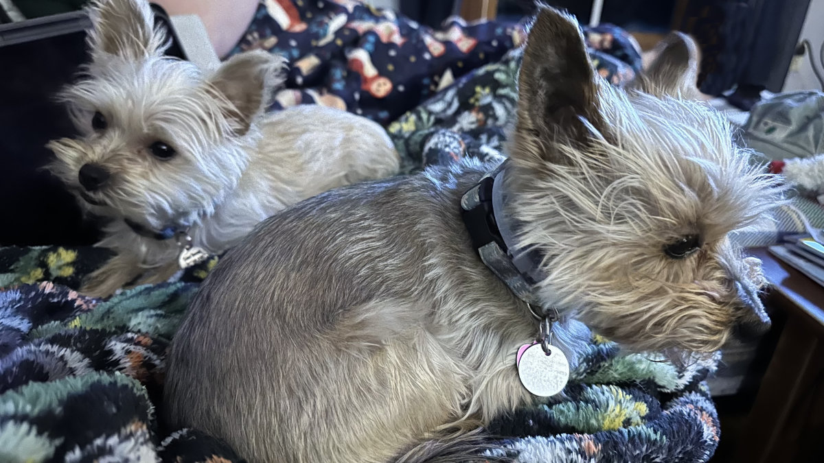 gidget-murphee gidget-murphee