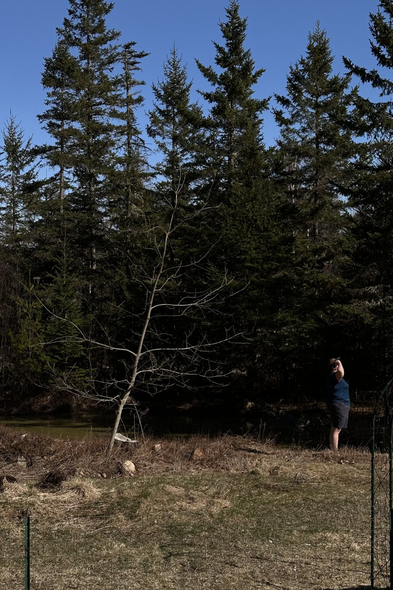 eclipse in milbridge maine