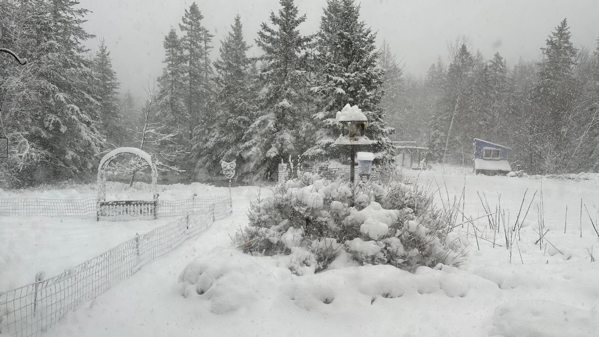 april snow day april snow day