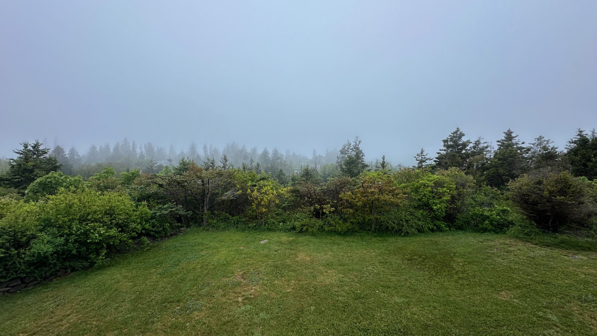 a foggy day on Monhegan