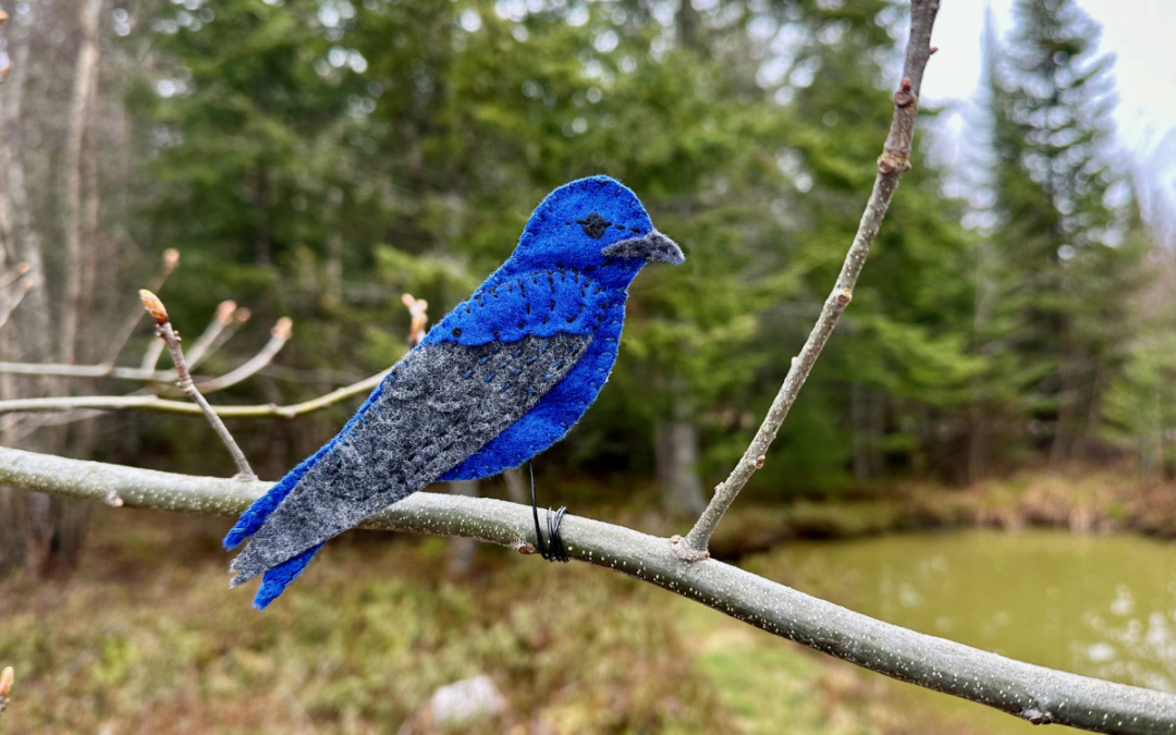 The Playful Purple Martin