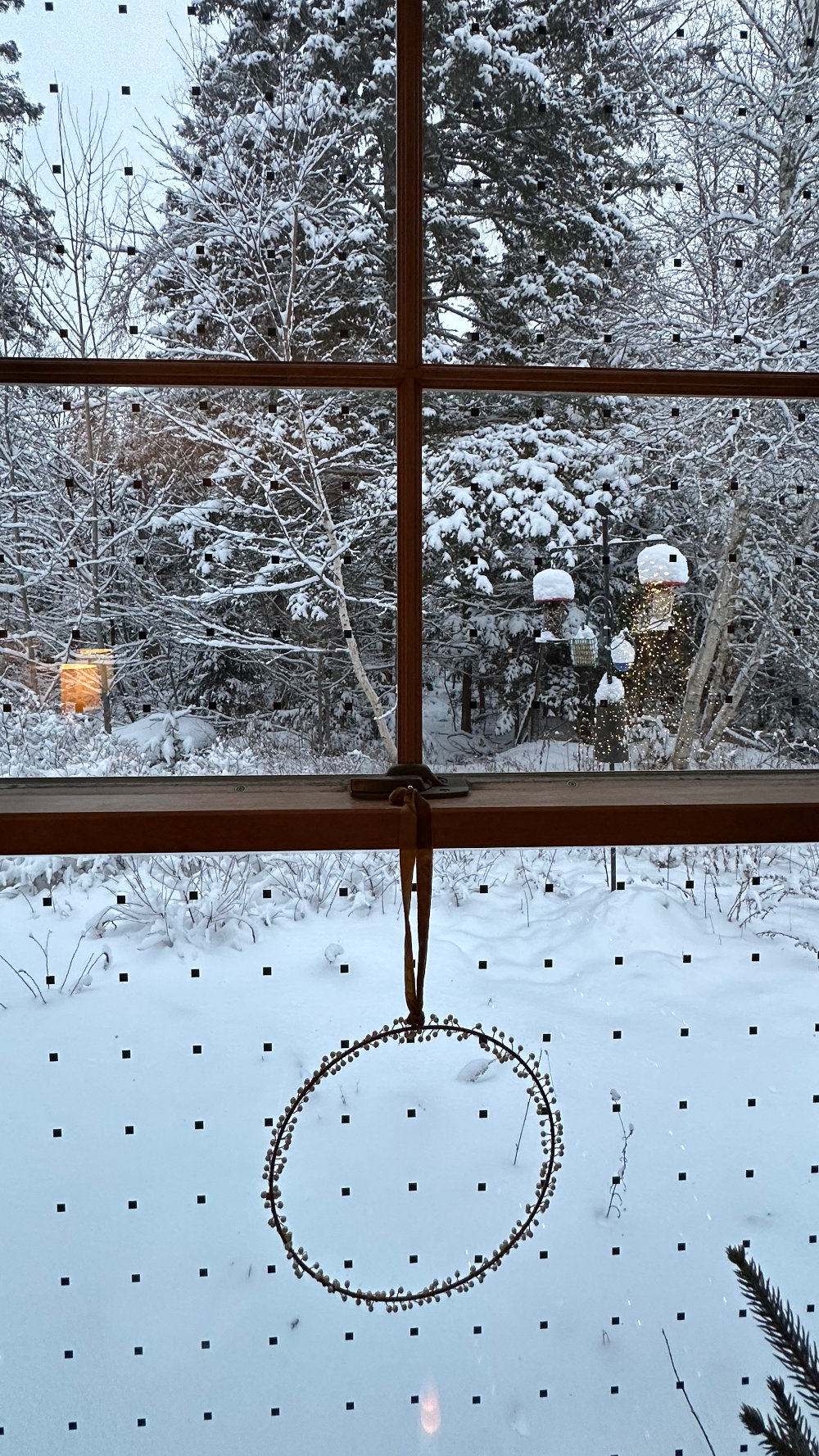 window bird tape