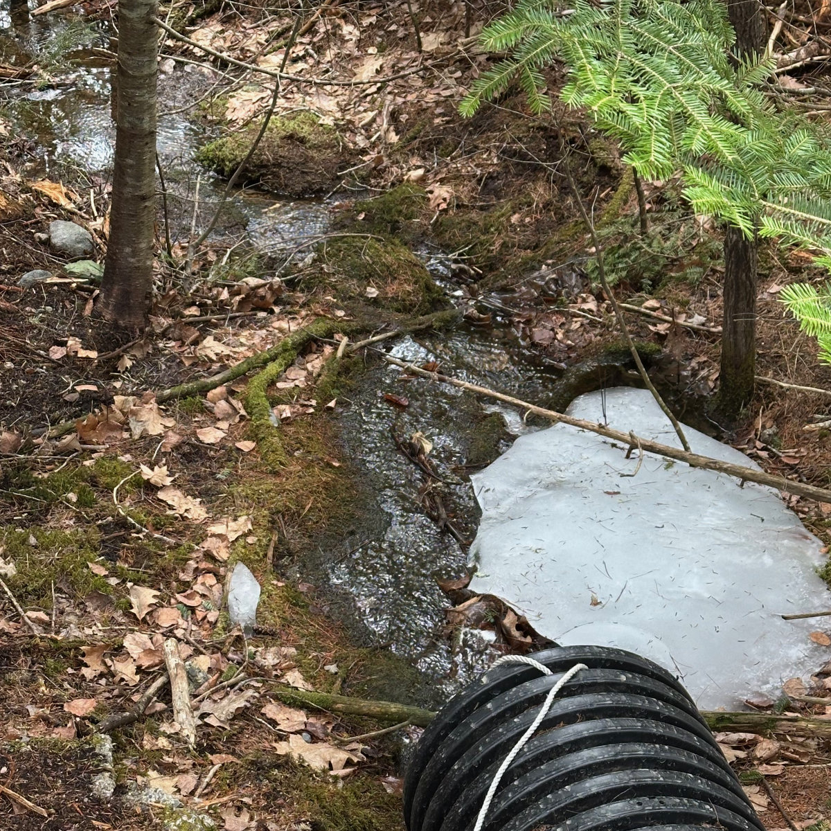ice out thawed culvert