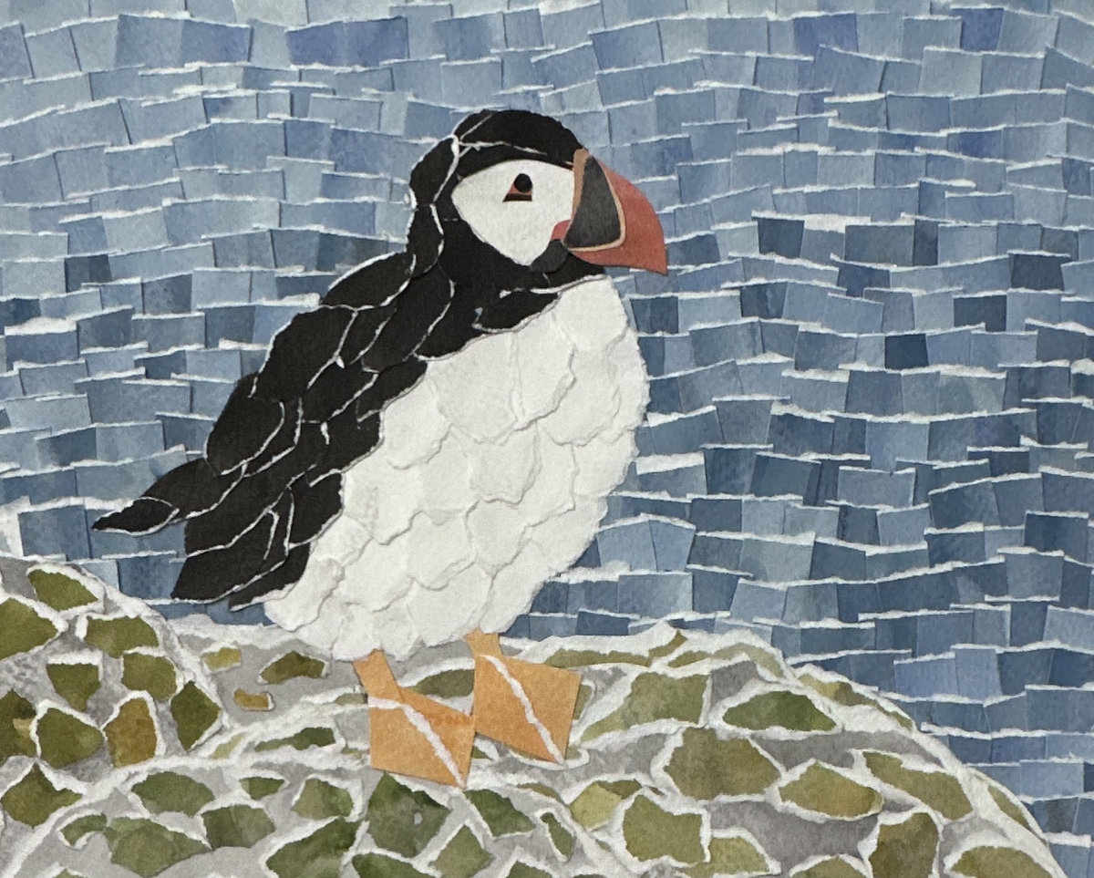 puffin-hsbennett puffin-hsbennett