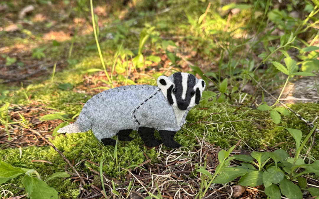 The Undercover American Badger