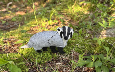 The Undercover American Badger