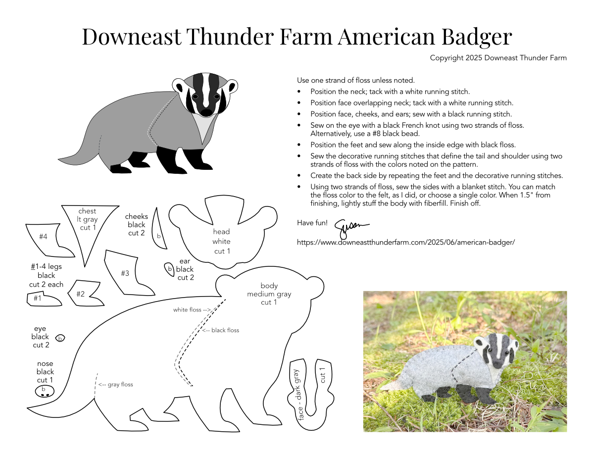 American Badger