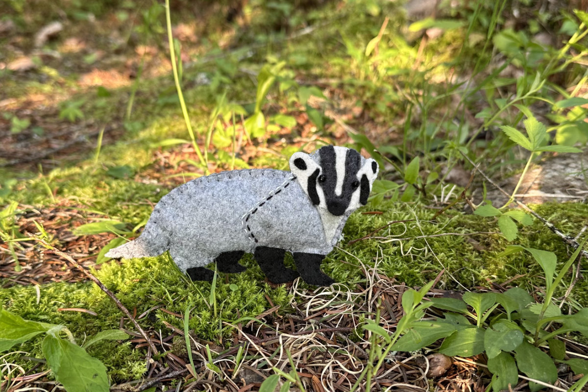 american badger american badger felt pattern