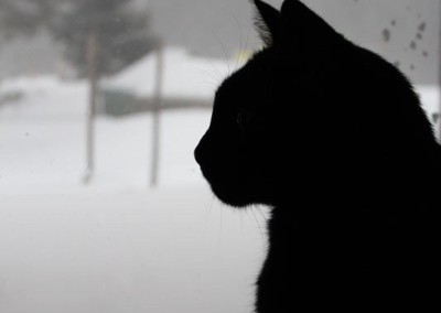 Snowy Snape Silhouette
