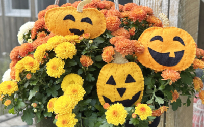 Pumpkins and Jack-O’-Lanterns