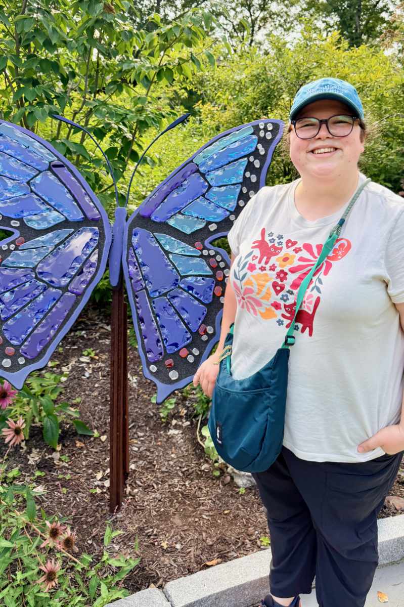 blue butterfly