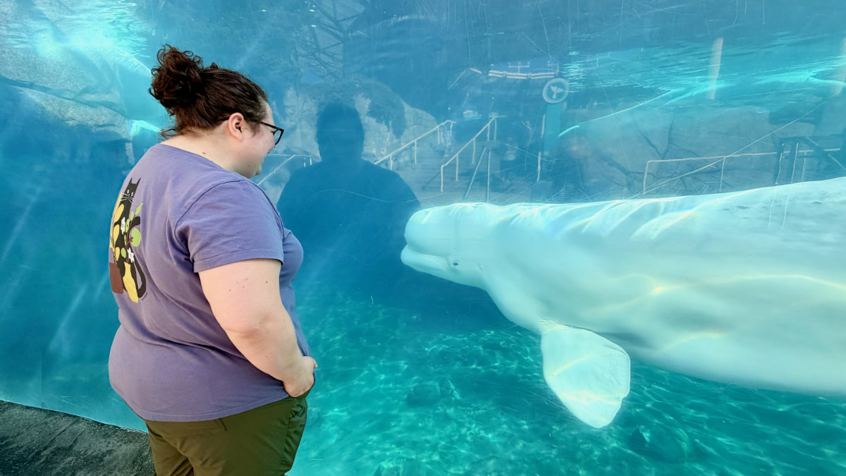 hannah whale