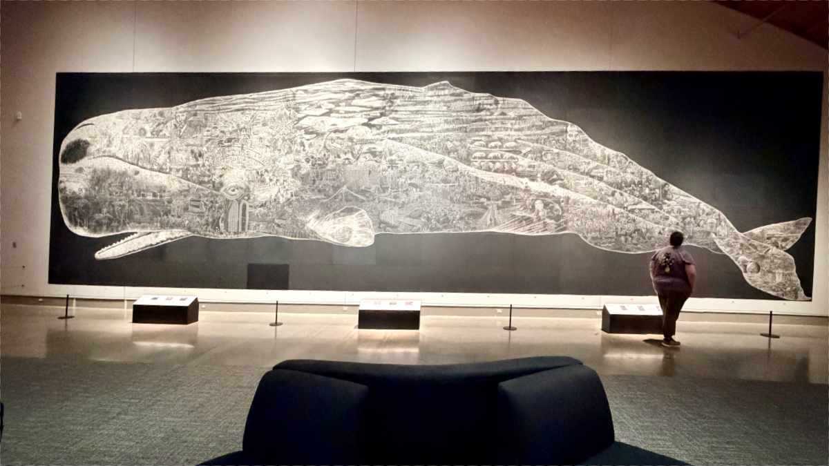or the whale